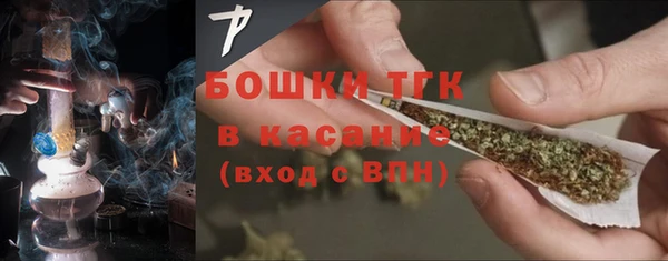прущие грибы Армянск