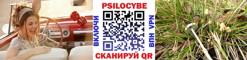 Псилоцибиновые грибы GOLDEN TEACHER  площадка официальный сайт  Баймак 